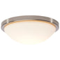 10" LED DISK LIGHT W/ OCC WHIT