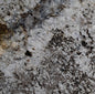 Alaska Grey Granite