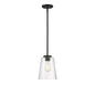 Calhoun 1-Light Pendant in Matte Black Matte Black