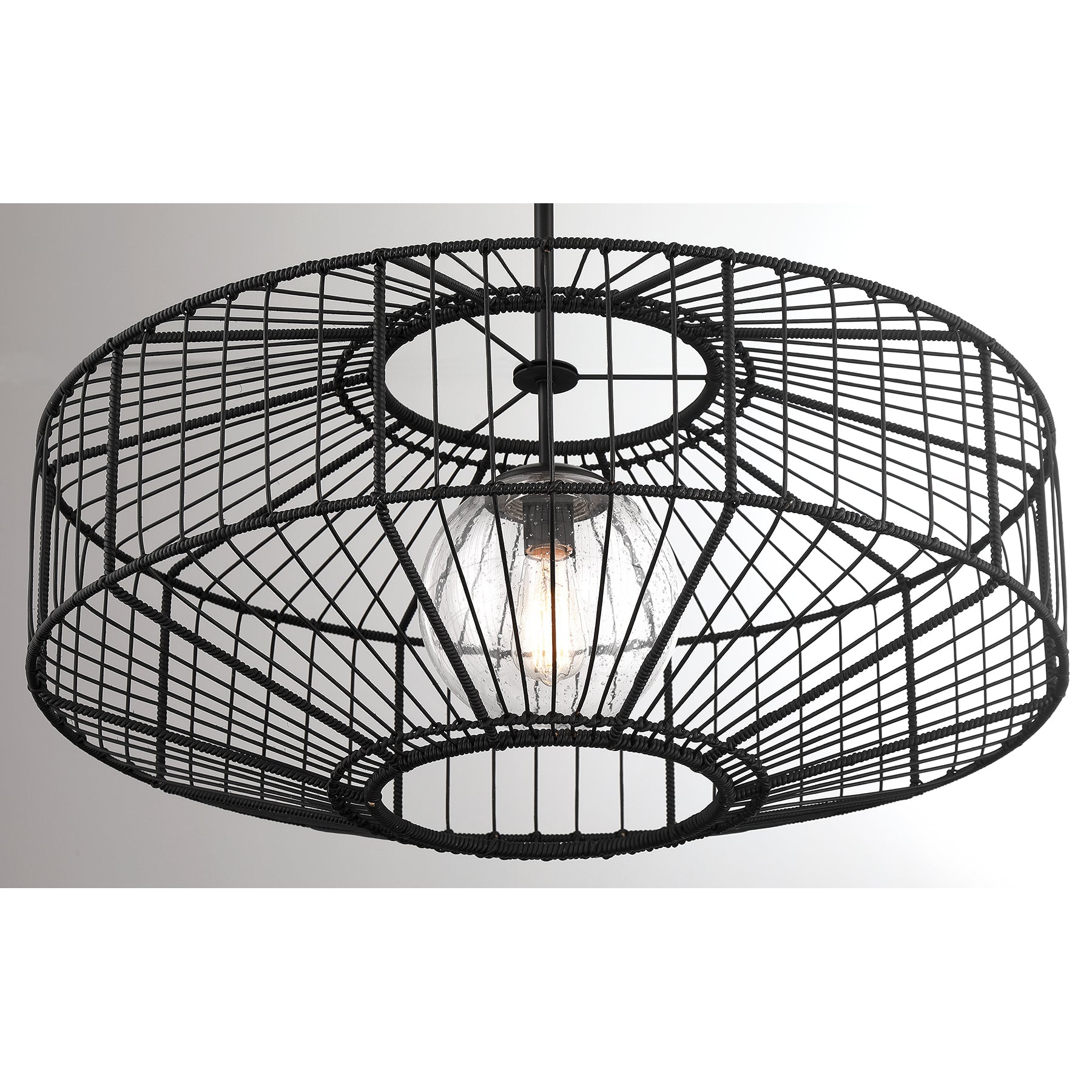 Marcy 1-Light Pendant in Matte Black