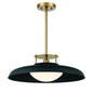 Gavin 1-Light Pendant in Matte Black with Warm Brass Accents Matte Black with Warm Brass Accents
