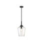 Carlton 1-Light Pendant in Matte Black Matte Black