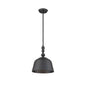 Berg 1-Light Pendant in Matte Black Matte Black