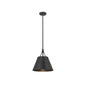 Willis 1-Light Pendant in Matte Black Matte Black