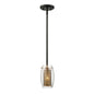 Dunbar 1-Light Mini-Pendant in Warm Brass with Bronze Accents Warm Brass with Bronze Accents