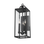 Caiden Wall Sconce with FORGED IRON Finish
