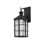 Lake County Wall Sconce with FRENCH IRON Finish
