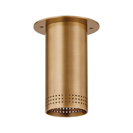 Berg Flush Mount with PATINA BRASS Finish