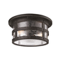 Barbosa Flush Mount with AGED PEWTER Finish