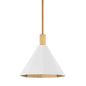 HUNTLEY Pendant with PATINA BRASS Finish