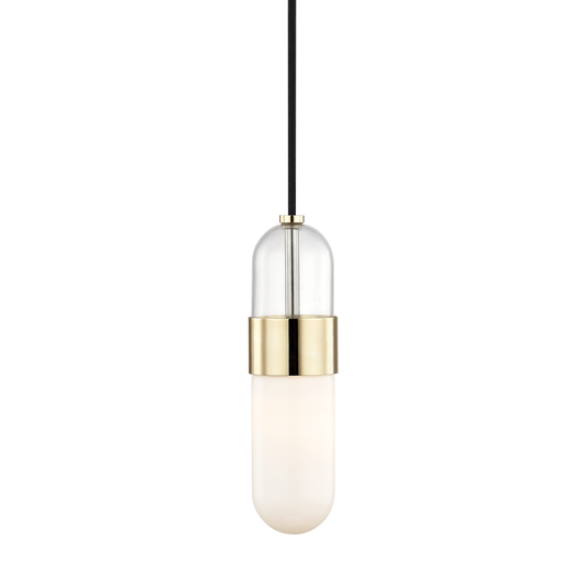Emilia Pendant in Polished Brass Finish