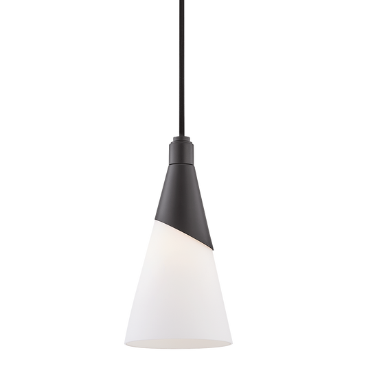 Parker Pendant in Black Finish