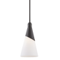 Parker Pendant in Black Finish