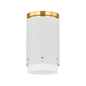 ASA Flush Mount in AGED BRASS/SOFT WHITE Finish