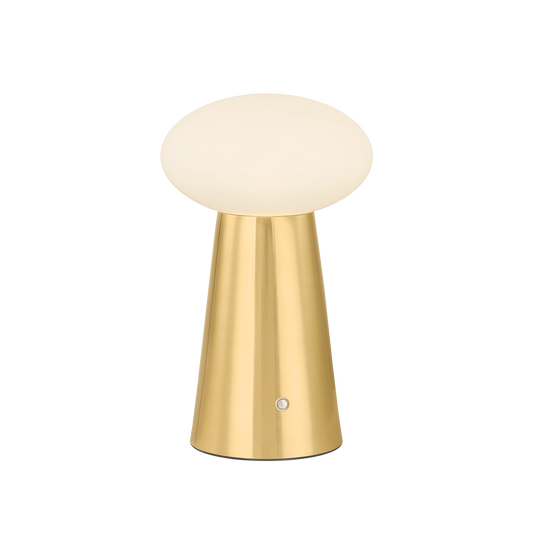 CASHEL Rechargeable Table Lamp with AGED BRASS Finish