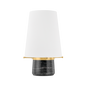 CENTRAL VALLEY Rechargeable Table Lamp with Aged Brass Finish
