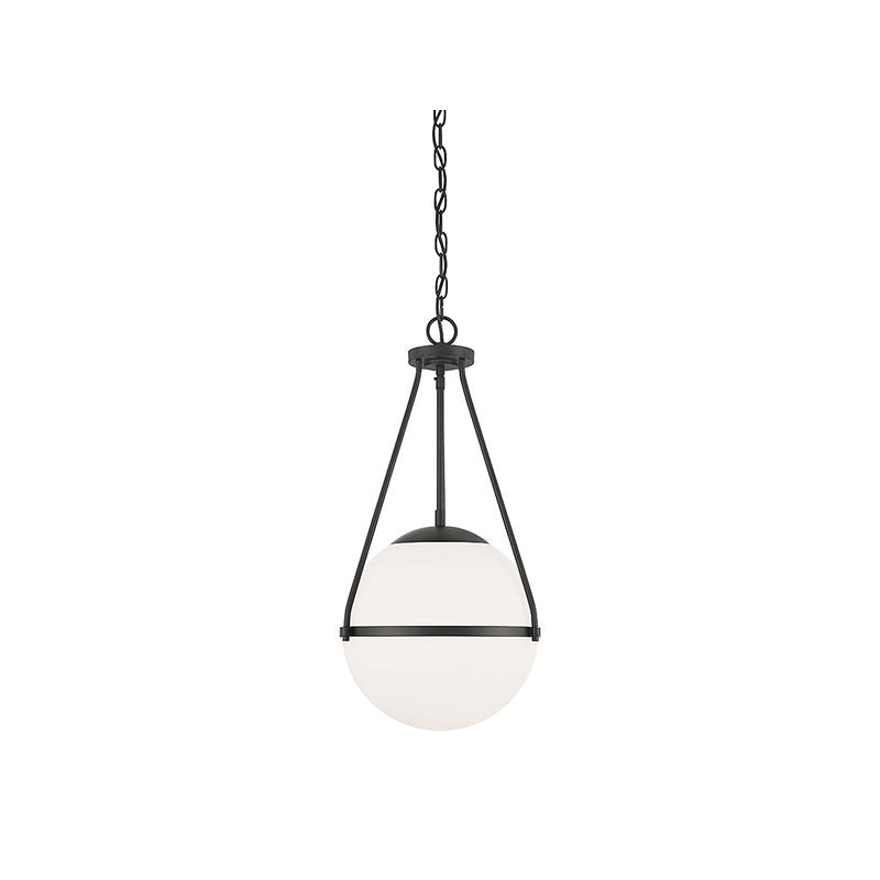 1-Light Pendant in Matte Black Matte Black