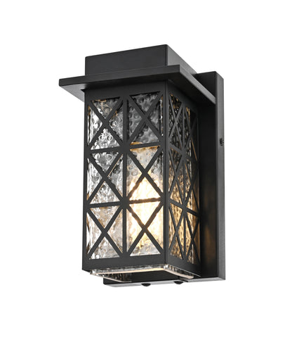 Wildey 9 Inch Outdoor Wall Sconce in Black