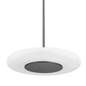 Blyford Pendant with Black Nickel Finish