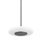 Blyford Pendant with Black Nickel Finish