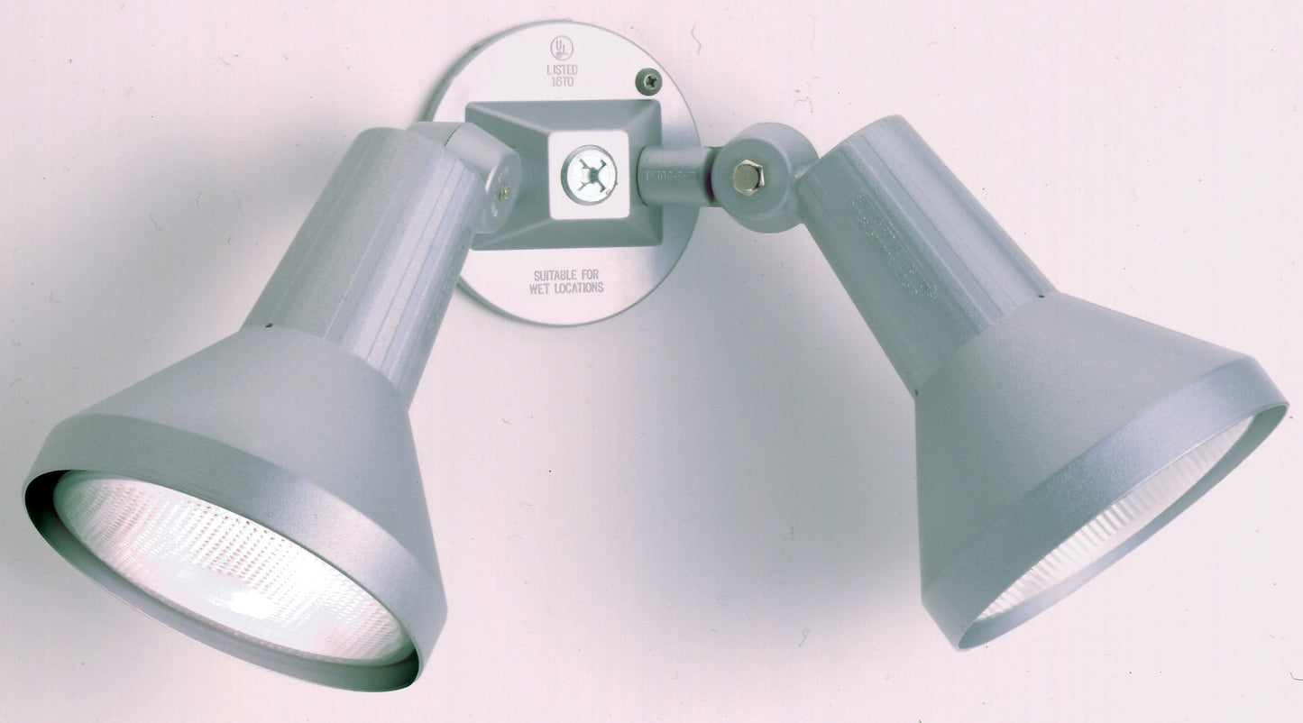 2 LIGHT 15" PAR38 FLOODLIGHT