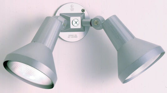 2 LIGHT 15" PAR38 FLOODLIGHT