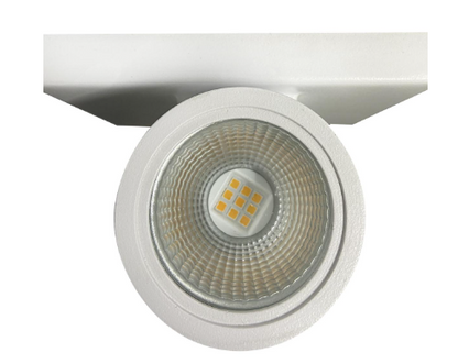 2 Light LED Small Up and Down Sconce Fixture in White Finish