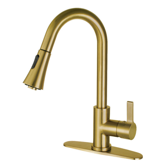 Continental Pull-Down Kitchen Faucet in Brushed Brass
