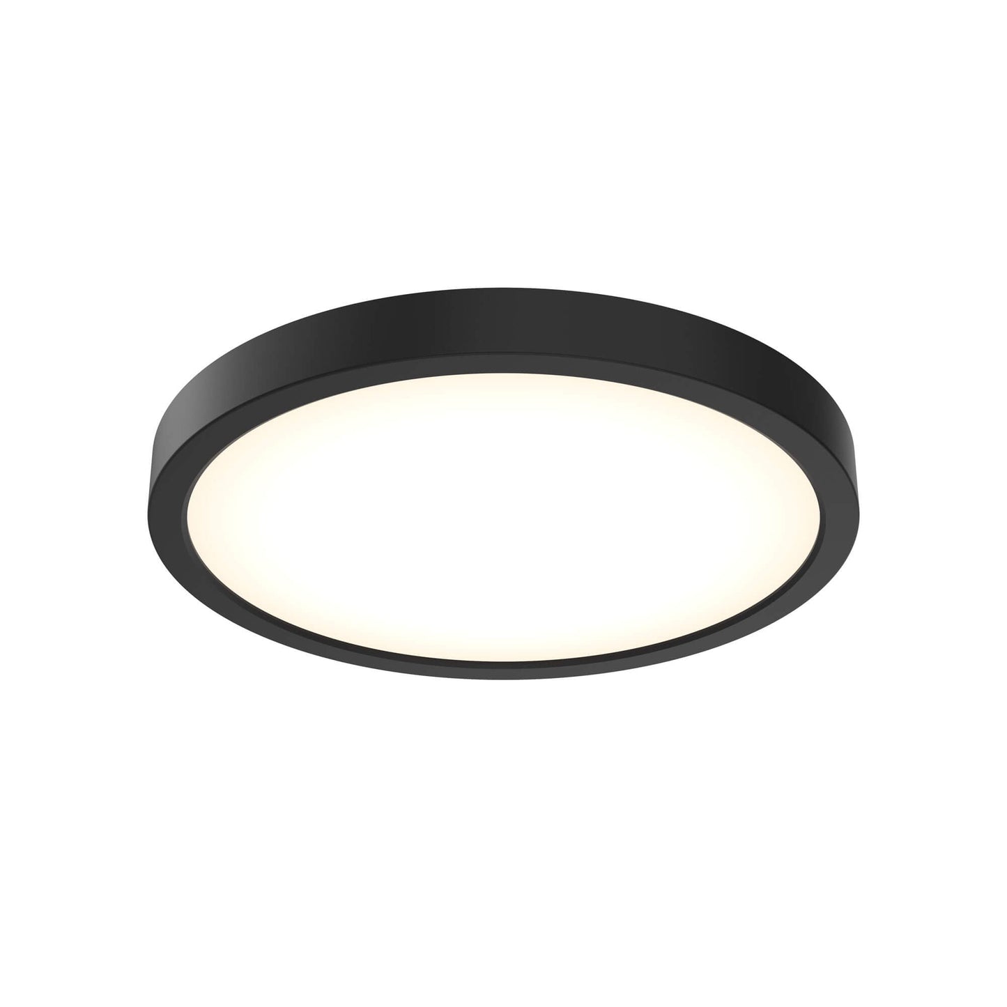 10 Inch Round Indoor/Outdoor LED Flush Mount