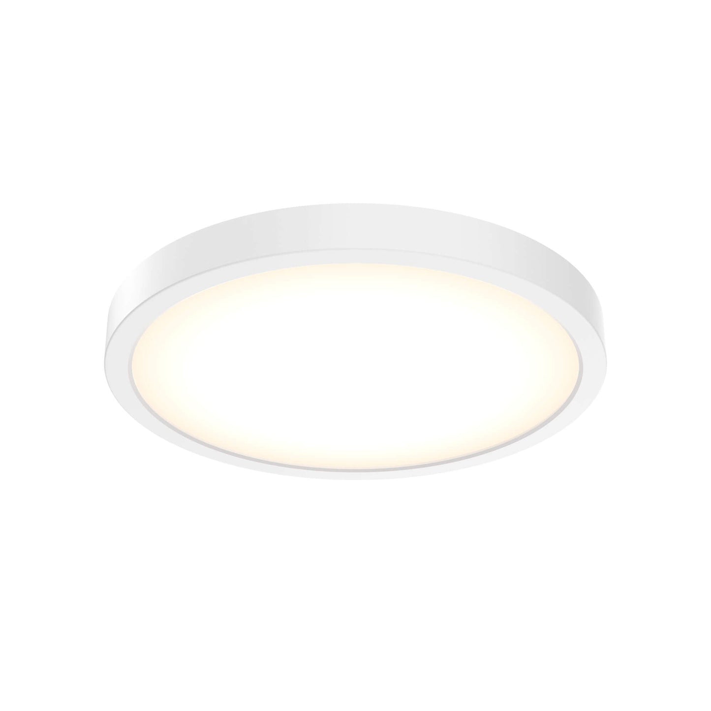 10 Inch Round Indoor/Outdoor LED Flush Mount
