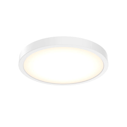 10 Inch Round Indoor/Outdoor LED Flush Mount