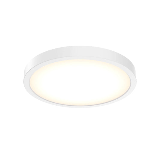 10 Inch Round Indoor/Outdoor LED Flush Mount