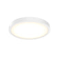10 Inch Round Indoor/Outdoor LED Flush Mount