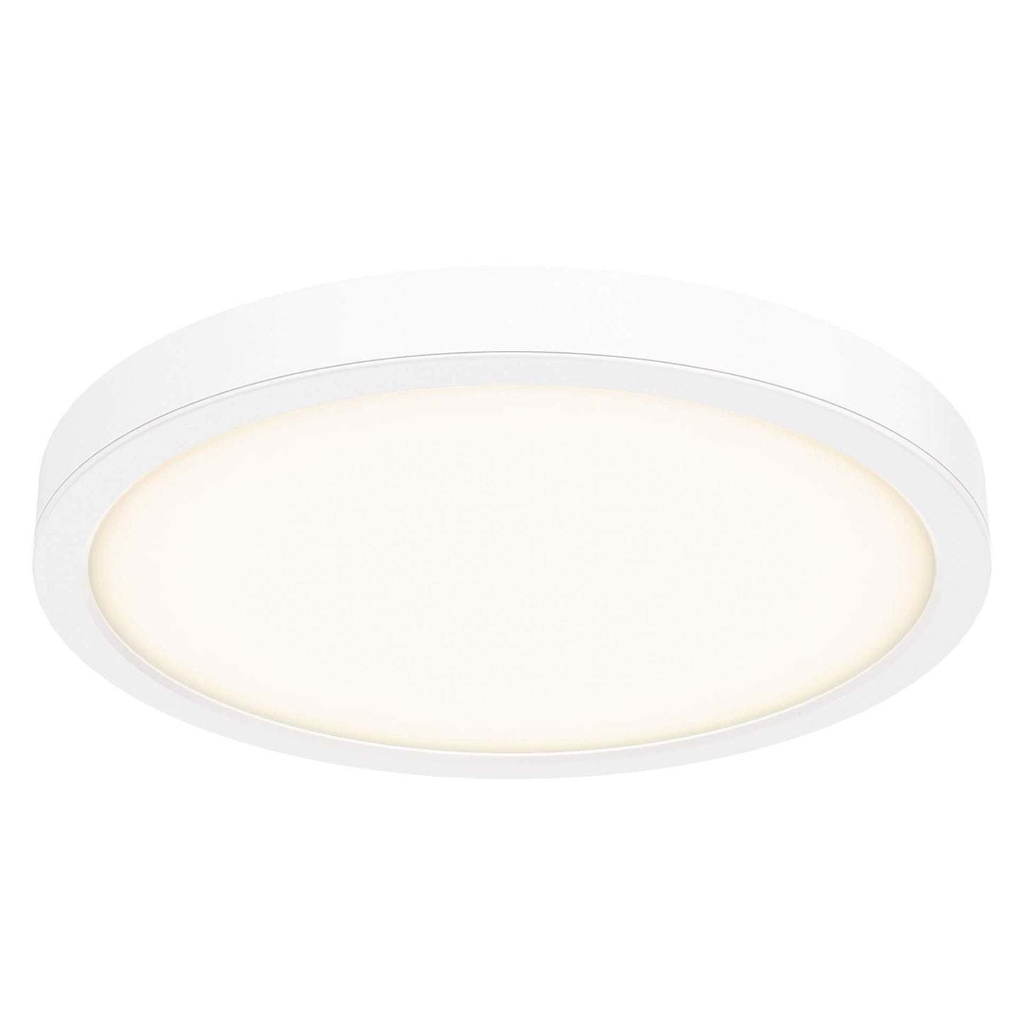 18 Inch Round Indoor/Outdoor LED Flush Mount