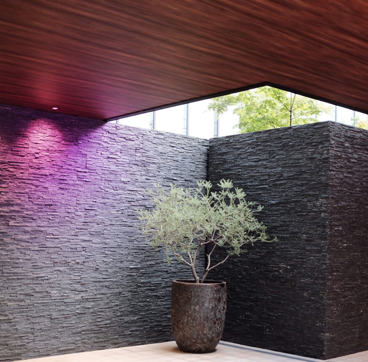 6" DCPro Deep regressed panel