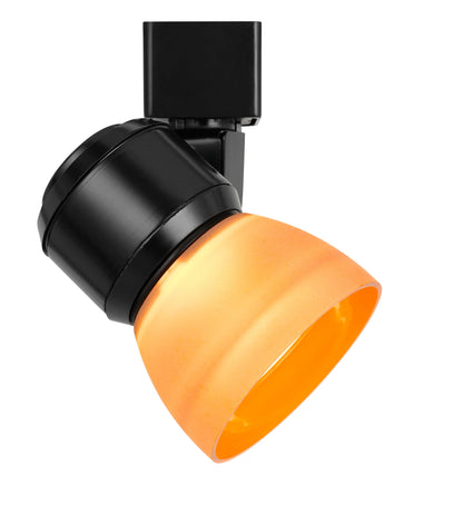 10W LED track fixture