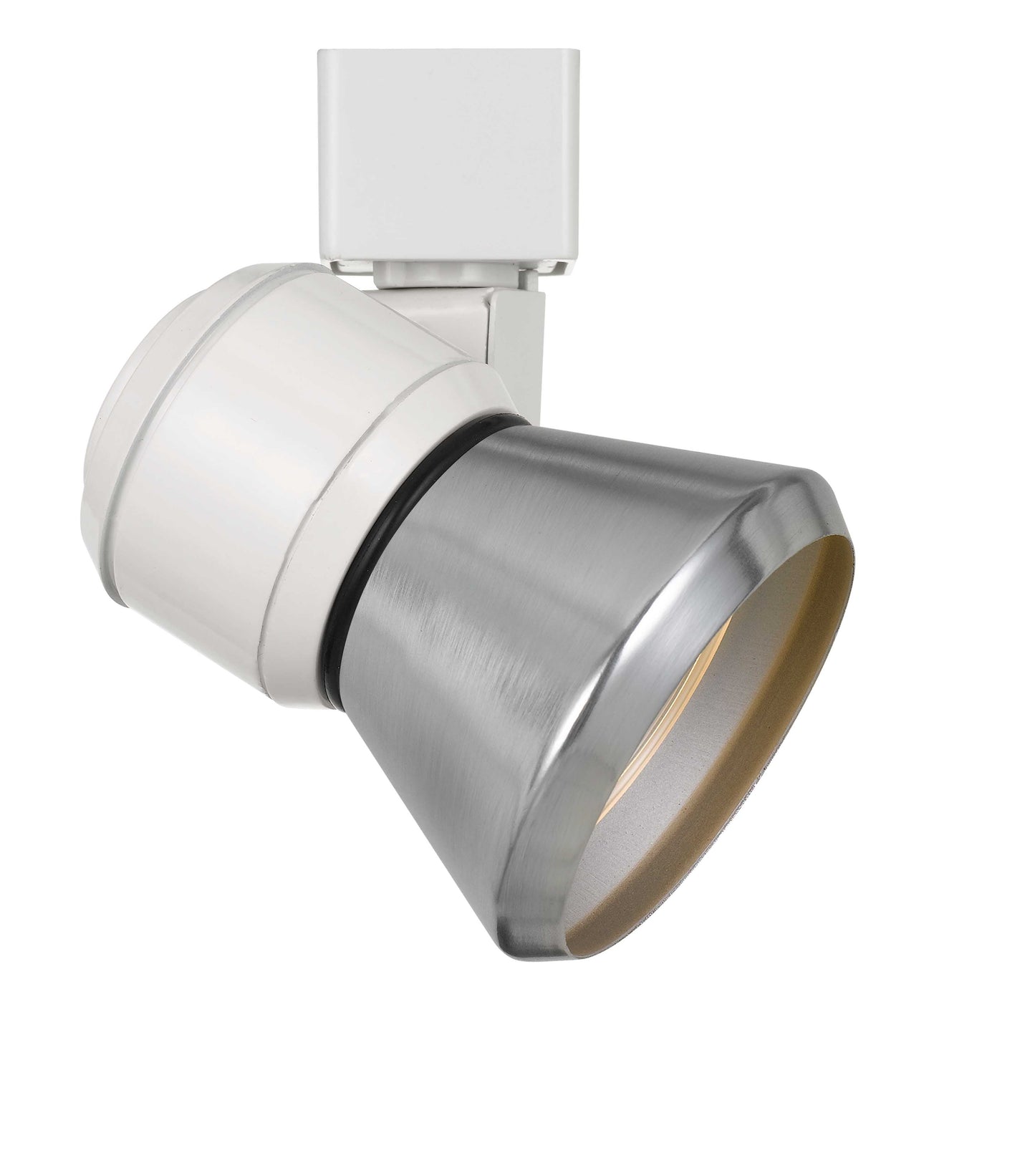 10W LED track fixture