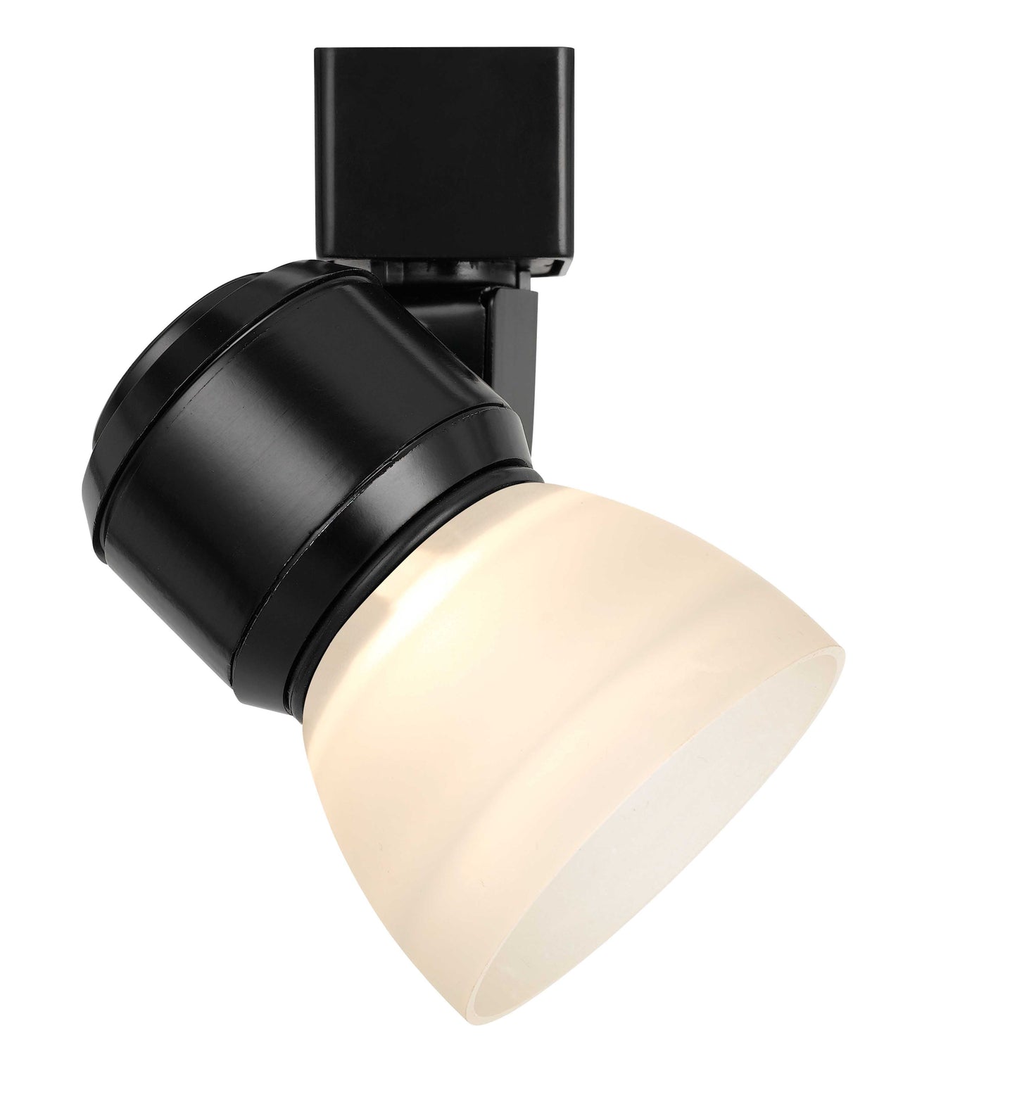 10W LED track fixture