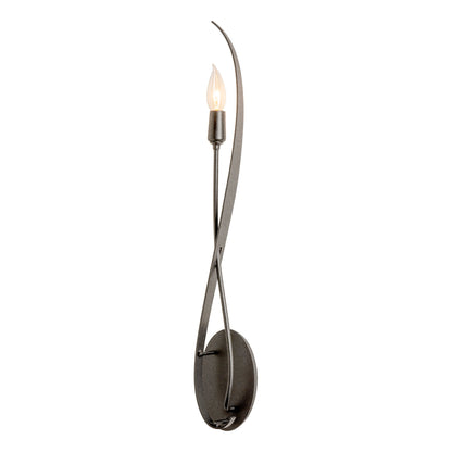 Willow Sconce
