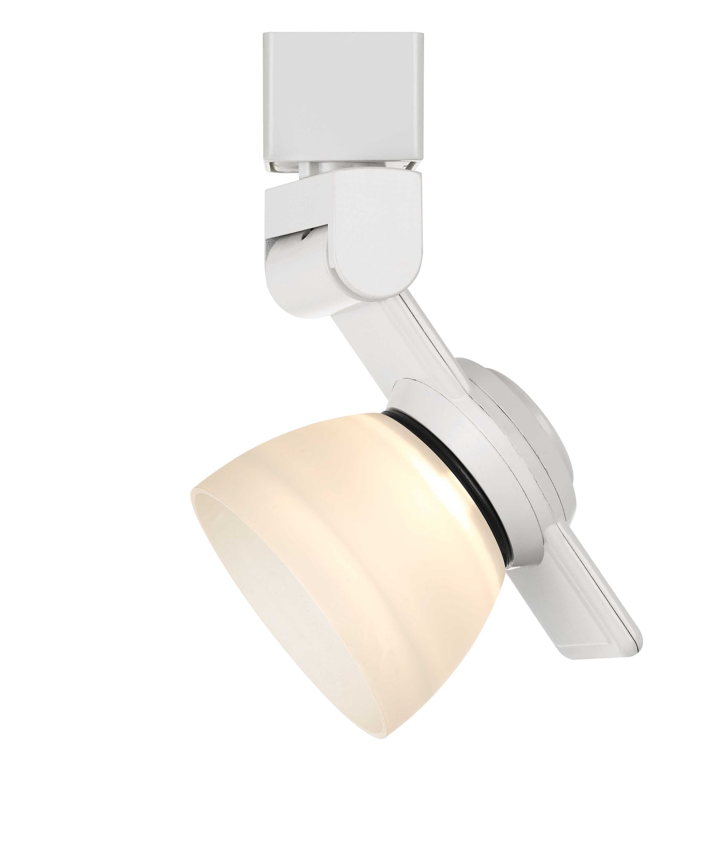 12W LED track fixture