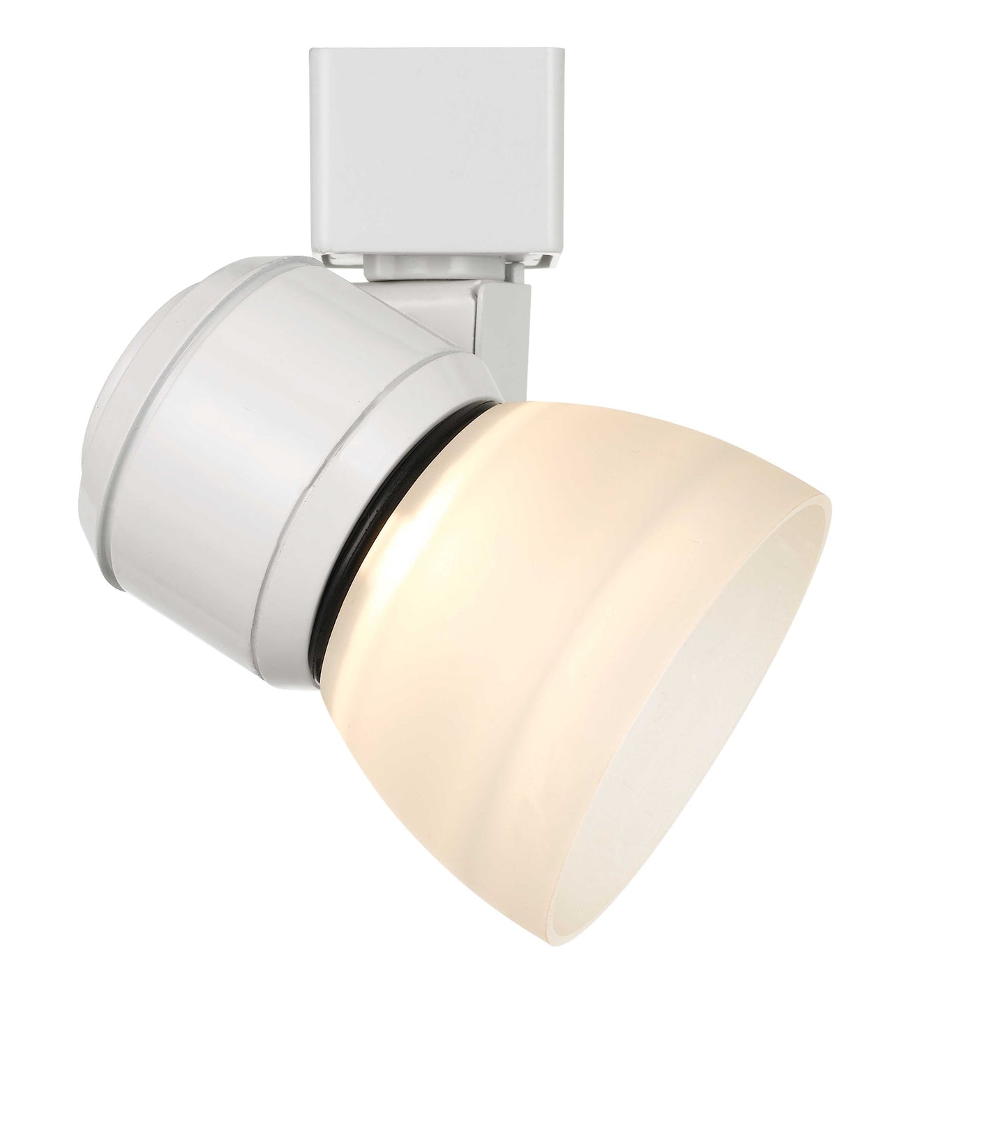 10W LED track fixture