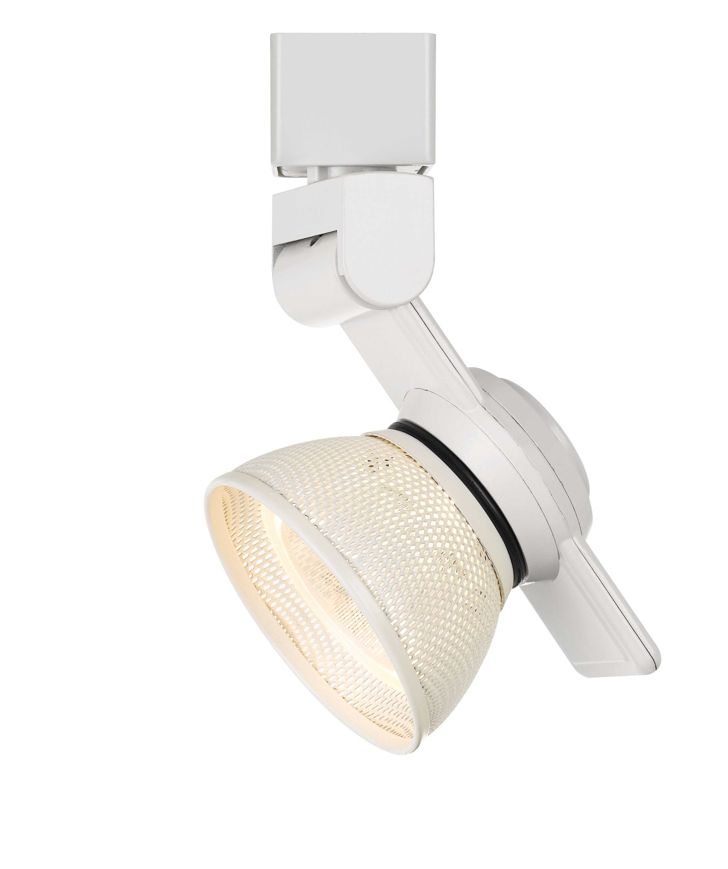 12W LED track fixture