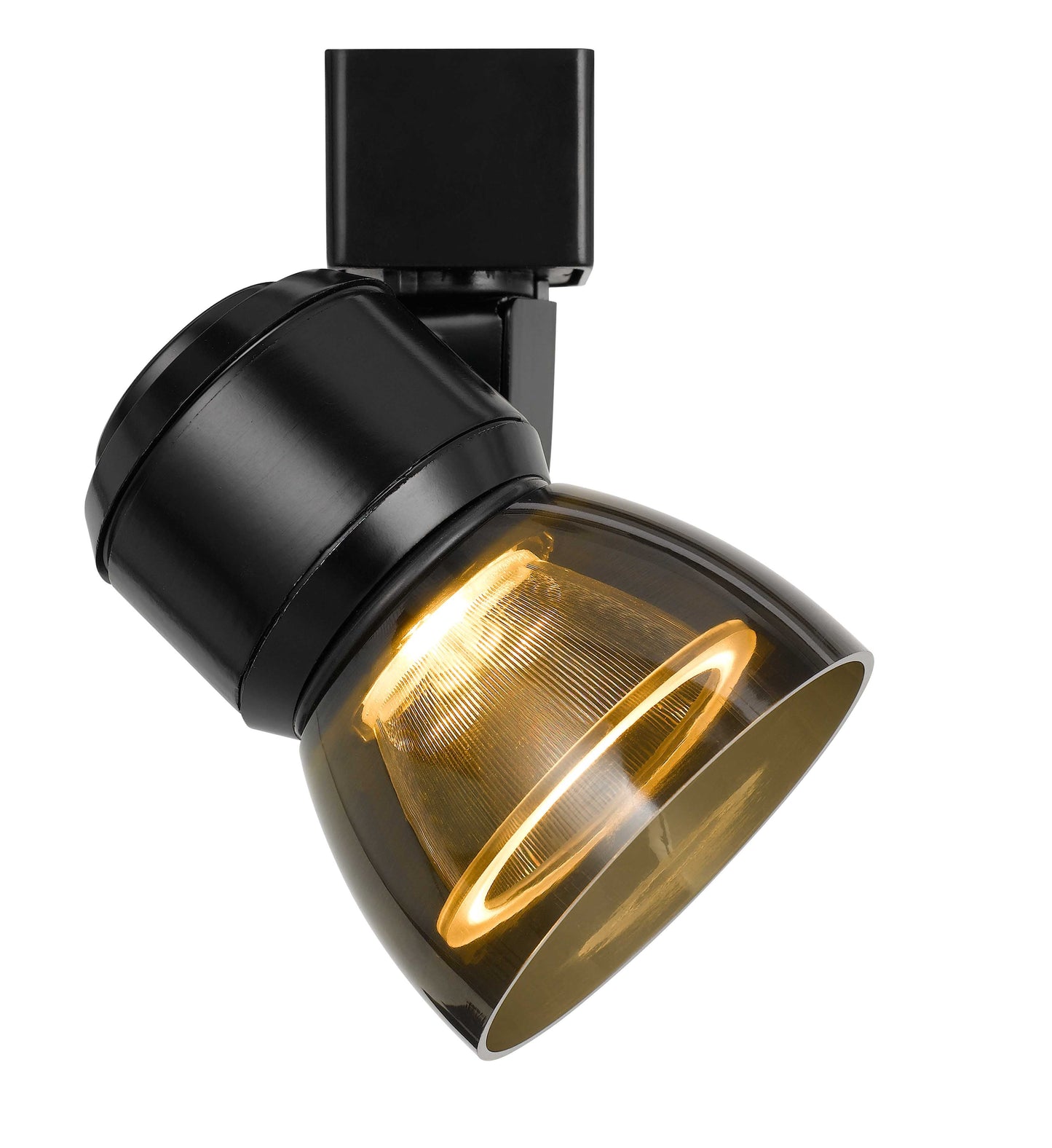 10W LED track fixture