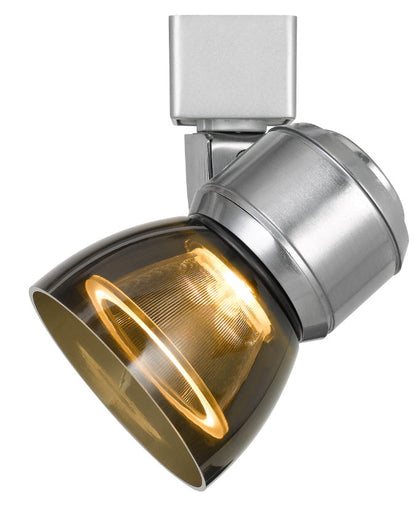 10W LED track fixture