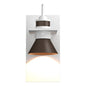 Erlenmeyer Dark Sky Friendly Outdoor Sconce