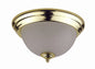 13W CEILING LAMP