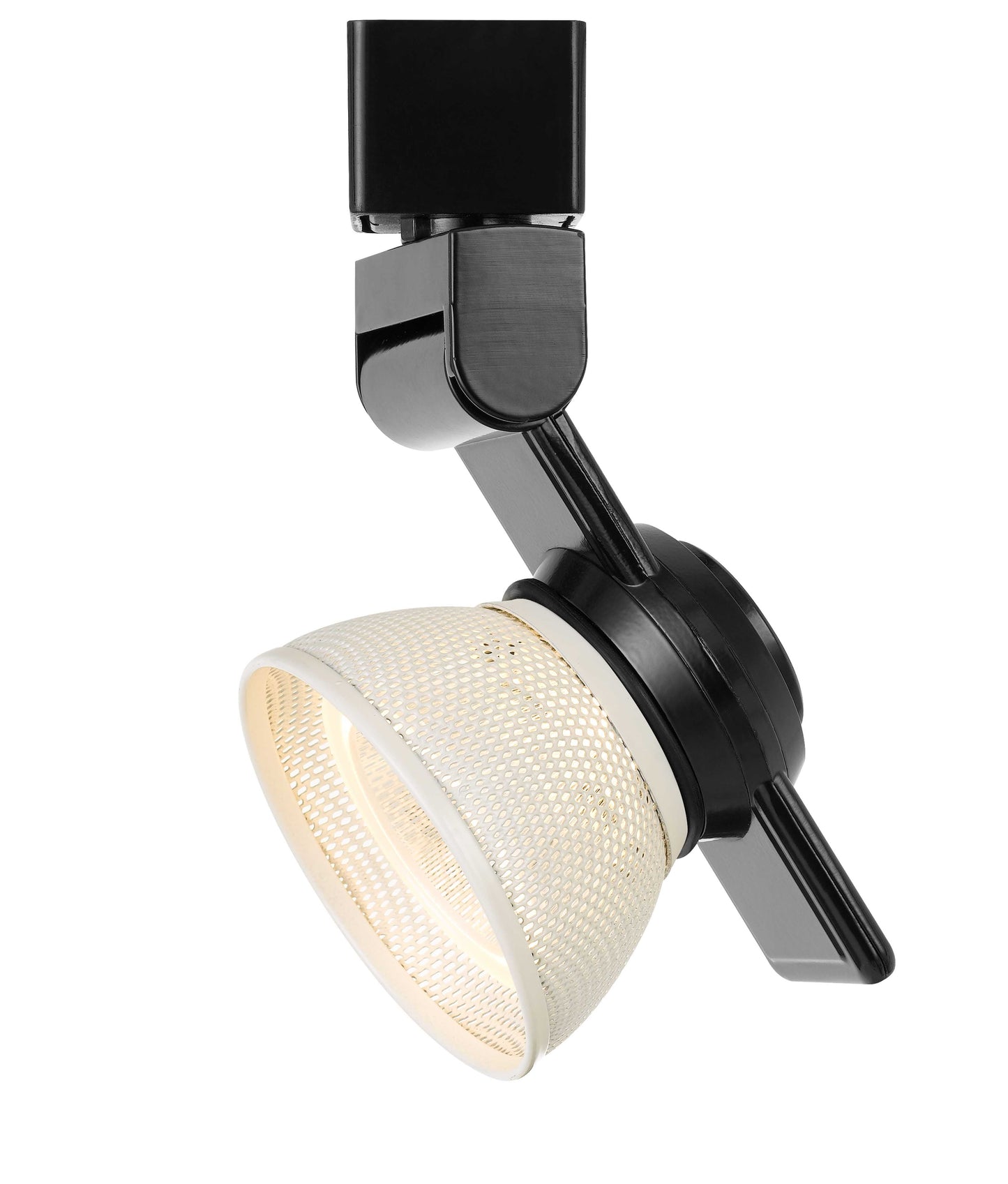 12W LED track fixture