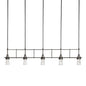 Erlenmeyer 5 Light Pendant