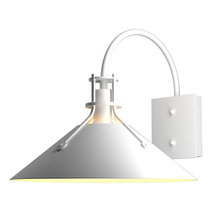 Henry Large Dark Sky Friendly Outdoor Sconce