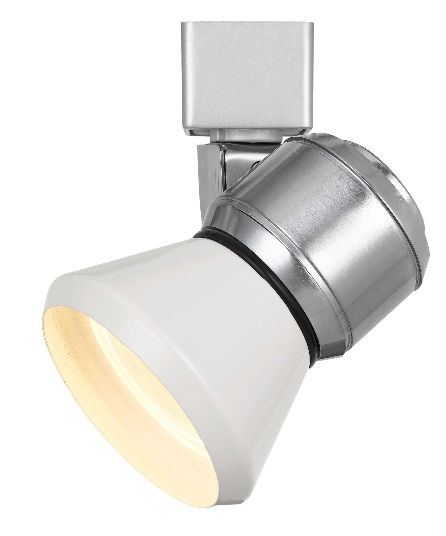 10W LED track fixture